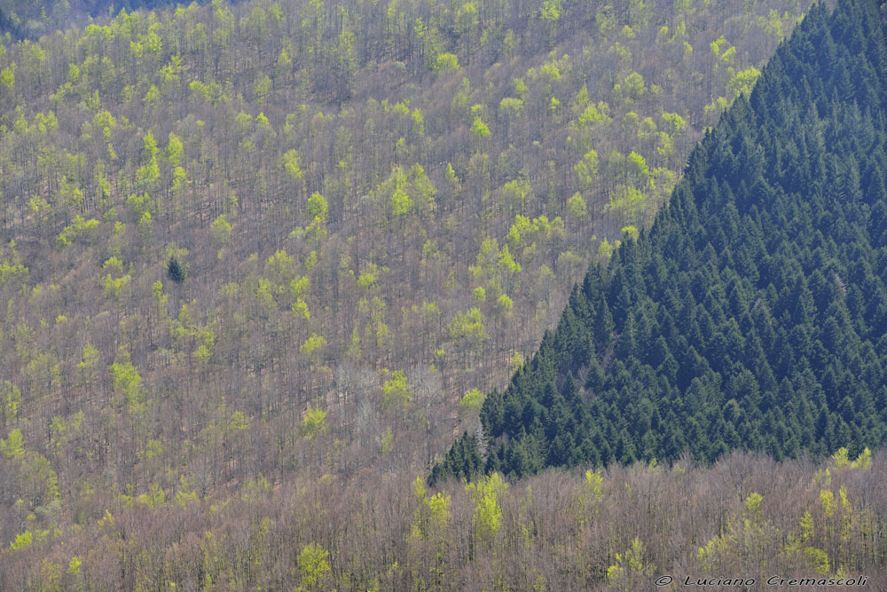 http://www.lucianocremascoli.com/fotosito/wp-content/uploads/2017/09/LUX9407-copia-2.jpg